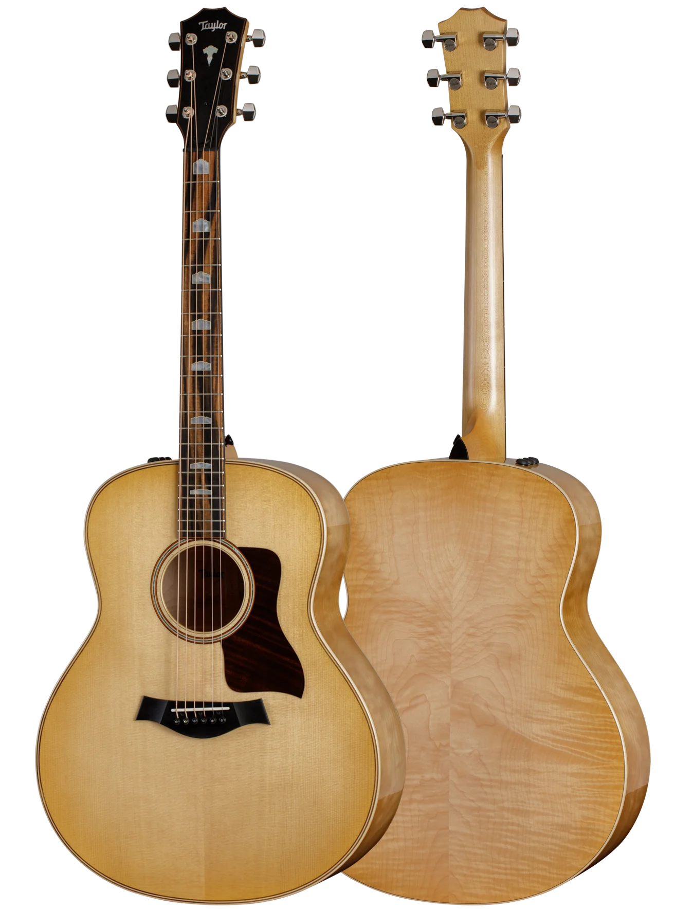 taylor-features-shapes-grand-orchestra-618e