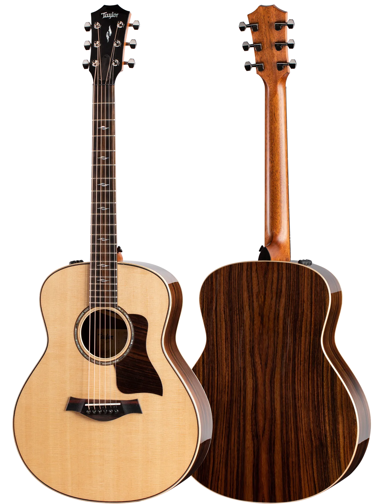 Taylor GTe Urban Ash Grand 【良品】Taylor テイラー 