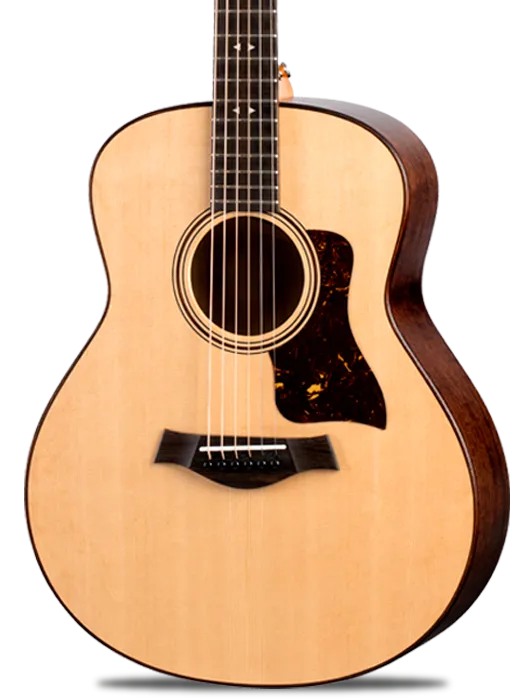 Taylor GT