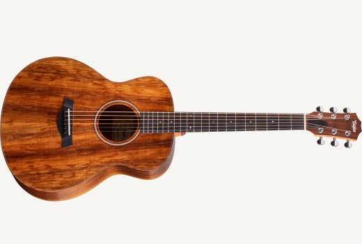 GS Mini-e Koa-Front