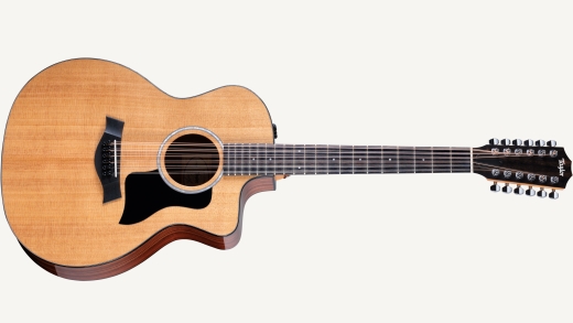 12 String Taylor Guitars