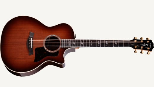 50th Anniversary 414ce Special Edition Gallery Front