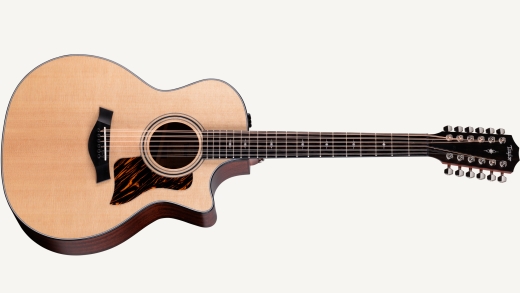 12 String Taylor Guitars
