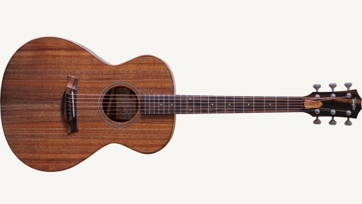 JCSM 6-String Gallery Image