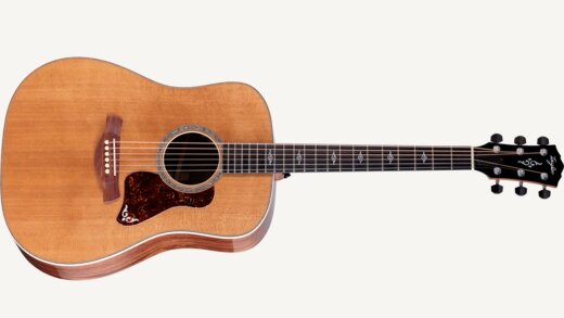 Taylor-Gold-Label-810e