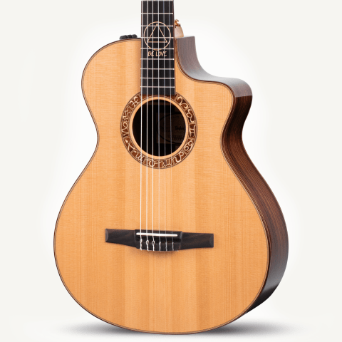 Jason Mraz Signature Model (JMSM)