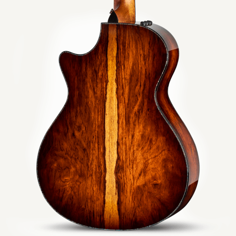 PS12ce 12-Fret Honduran Rosewood