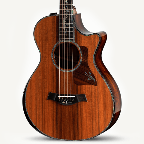 PS12ce 12-Fret Honduran Rosewood