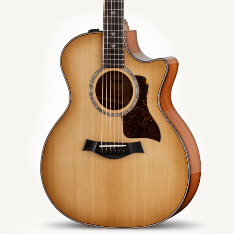 Taylor-514ce-FrontLeft-2022