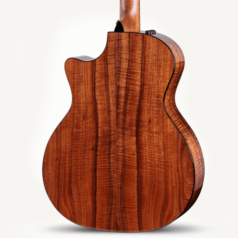 50th Anniversary 924ce-K LTD & Circa 74 Amp