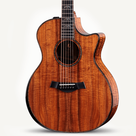 50th Anniversary 924ce-K LTD & Circa 74 Amp