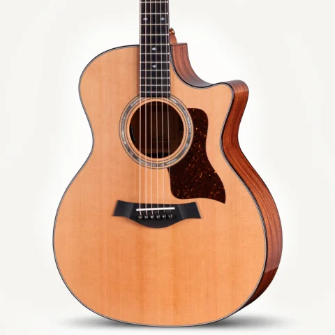 ドラゴンボール様【調整必要】Taylor 110e アコースティックギター ドラゴンボール様【調整必要】Taylor 110e アコースティックギター