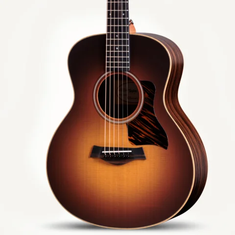 GS Mini-e Rosewood SB Gallery Image Front