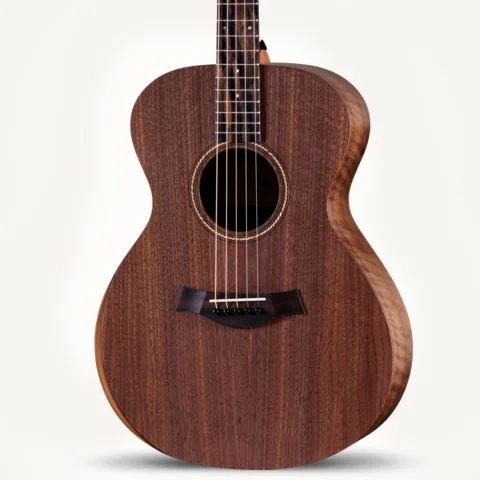 2024年の新アコースティックギター | Taylor Guitars