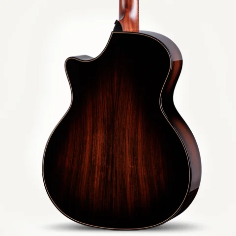 Next Generation Builder's Edition 814ce Indian Rosewood/Adirondack Spruce