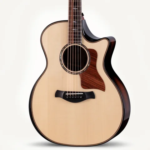 Next Generation Builder's Edition 814ce Indian Rosewood/Adirondack Spruce