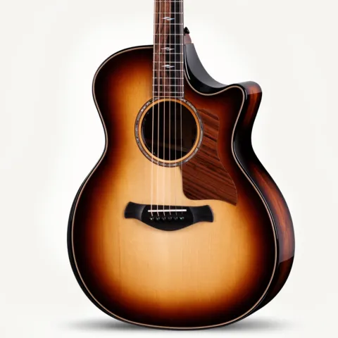 Next Generation Builder's Edition 814ce Honduran Rosewood/Adirondack Spruce