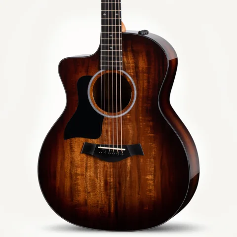 Left Handed Acoustic Guitars | Taylor Guitars