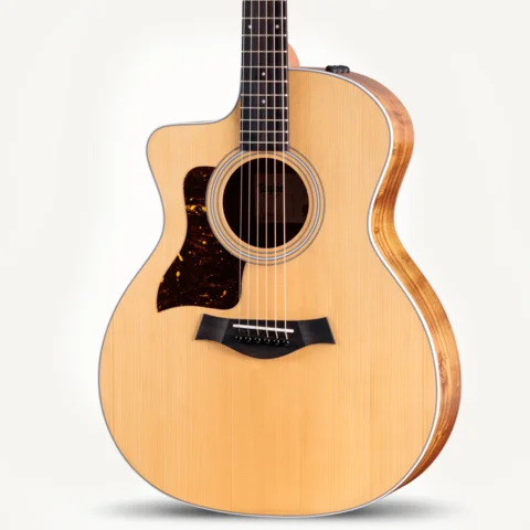 Left Handed Acoustic Guitars | Taylor Guitars