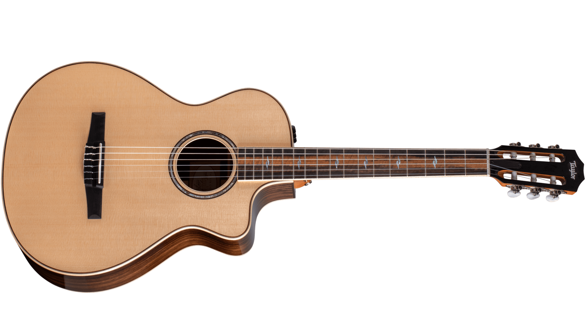 Taylor sales 812ce nylon