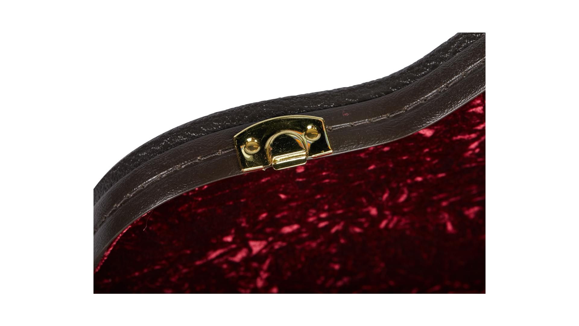 Taylor T5-S1 TPB テイラー フルアコ ハードケース Hard Cases - T3/T5 Taylor Deluxe Brown Hardshell Case