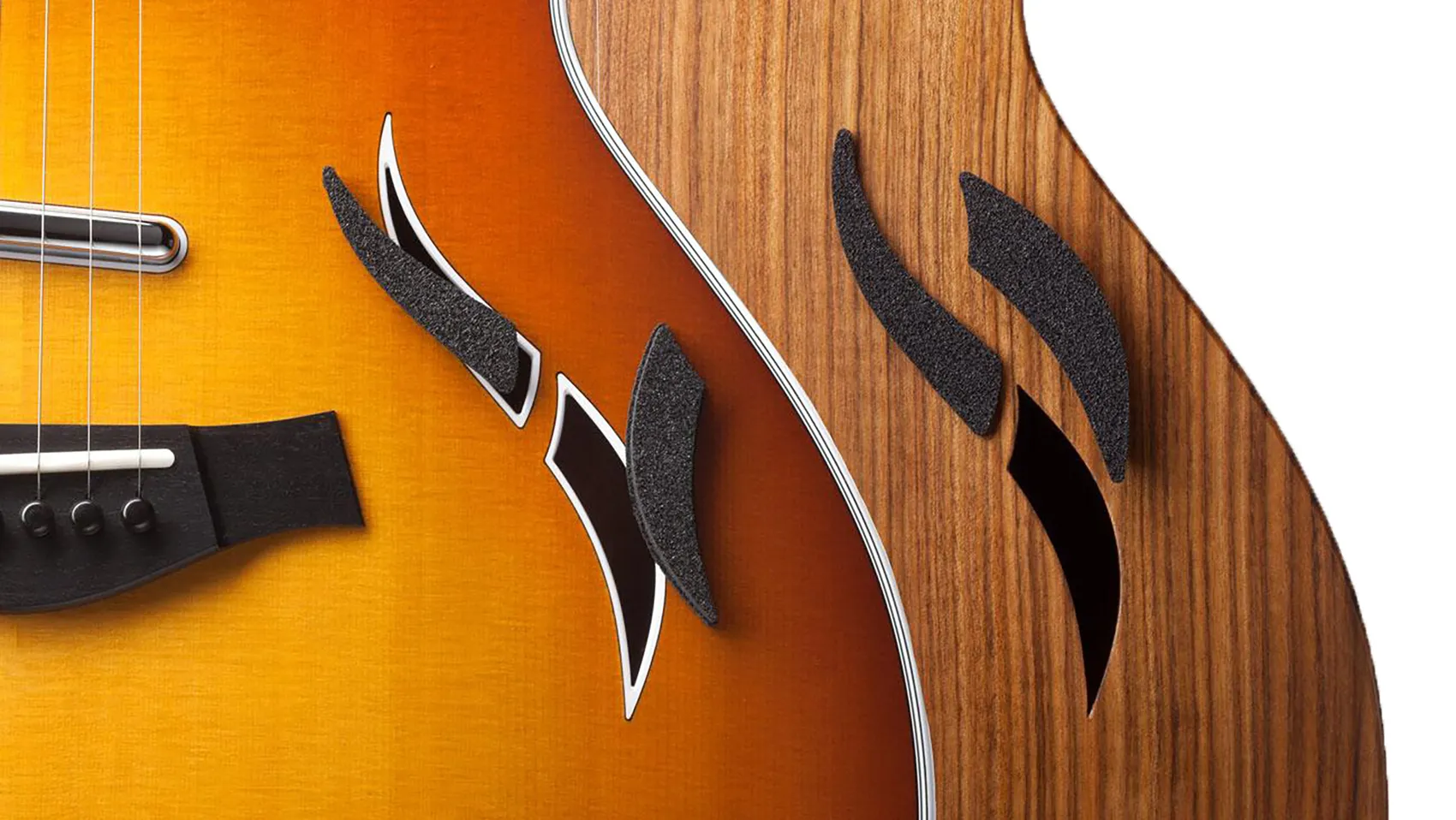Guitar Care - Taylor T5 Foam Insert Set | Taylor Guitars