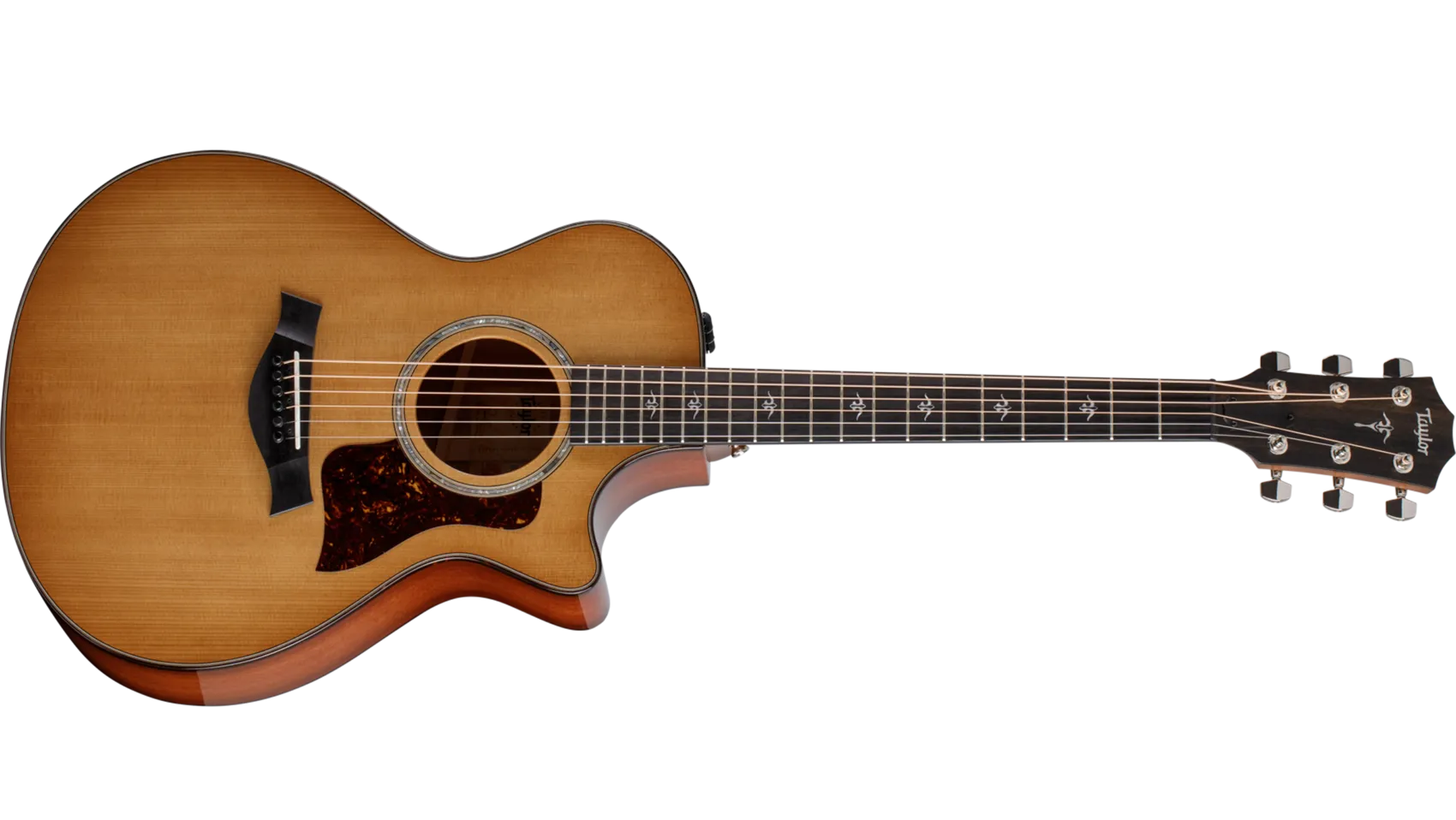 Taylor 512ce selected by koeido 光栄堂 Taylor 512ce selected by