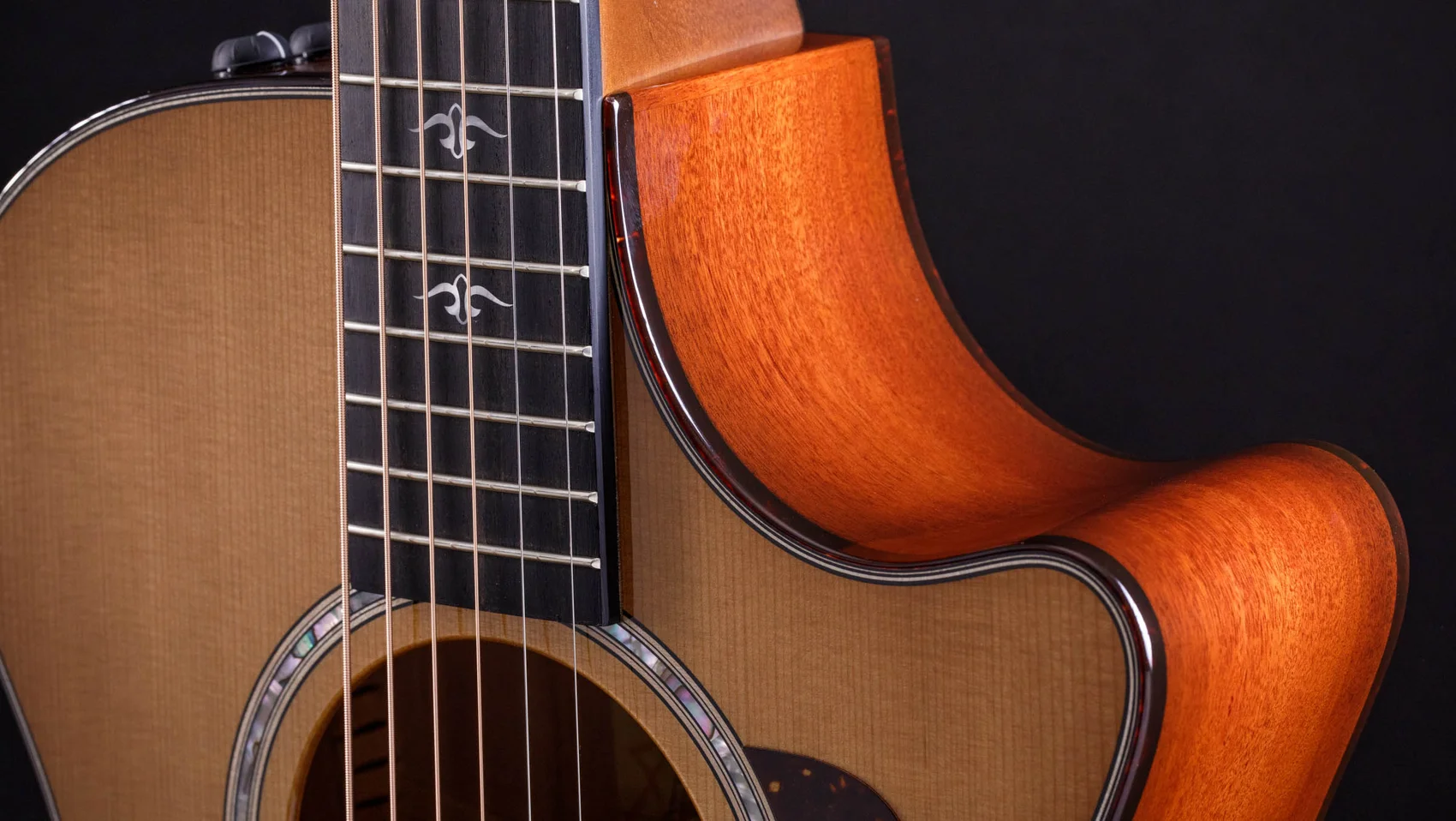 Taylor 512ce アコースティックギター 512ce Red Ironbark Acoustic-Electric Guitar | Taylor Guitars