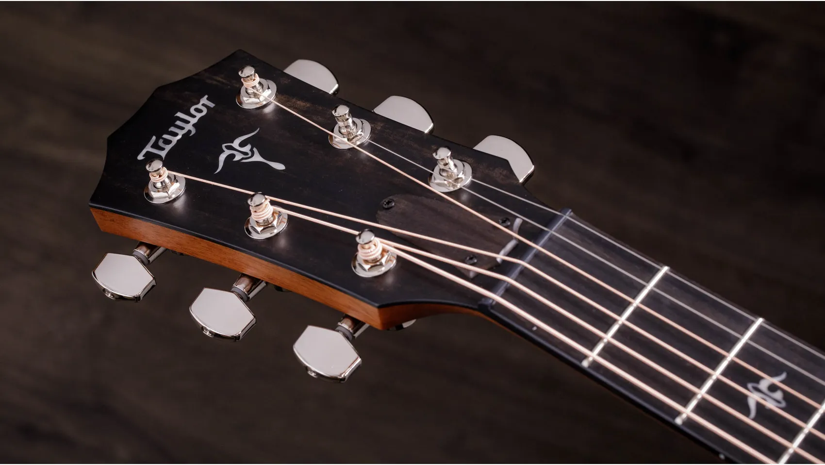 514ce Red Ironbark Acoustic-Electric Guitar | Taylor Guitars