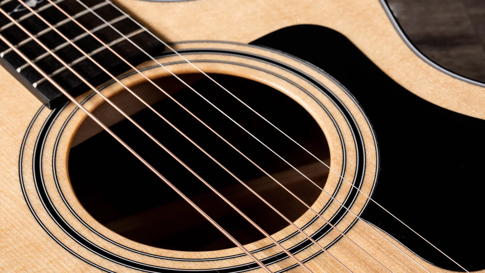 312ce (2019) Sapele Acoustic-Electric Guitar | Taylor Guitars