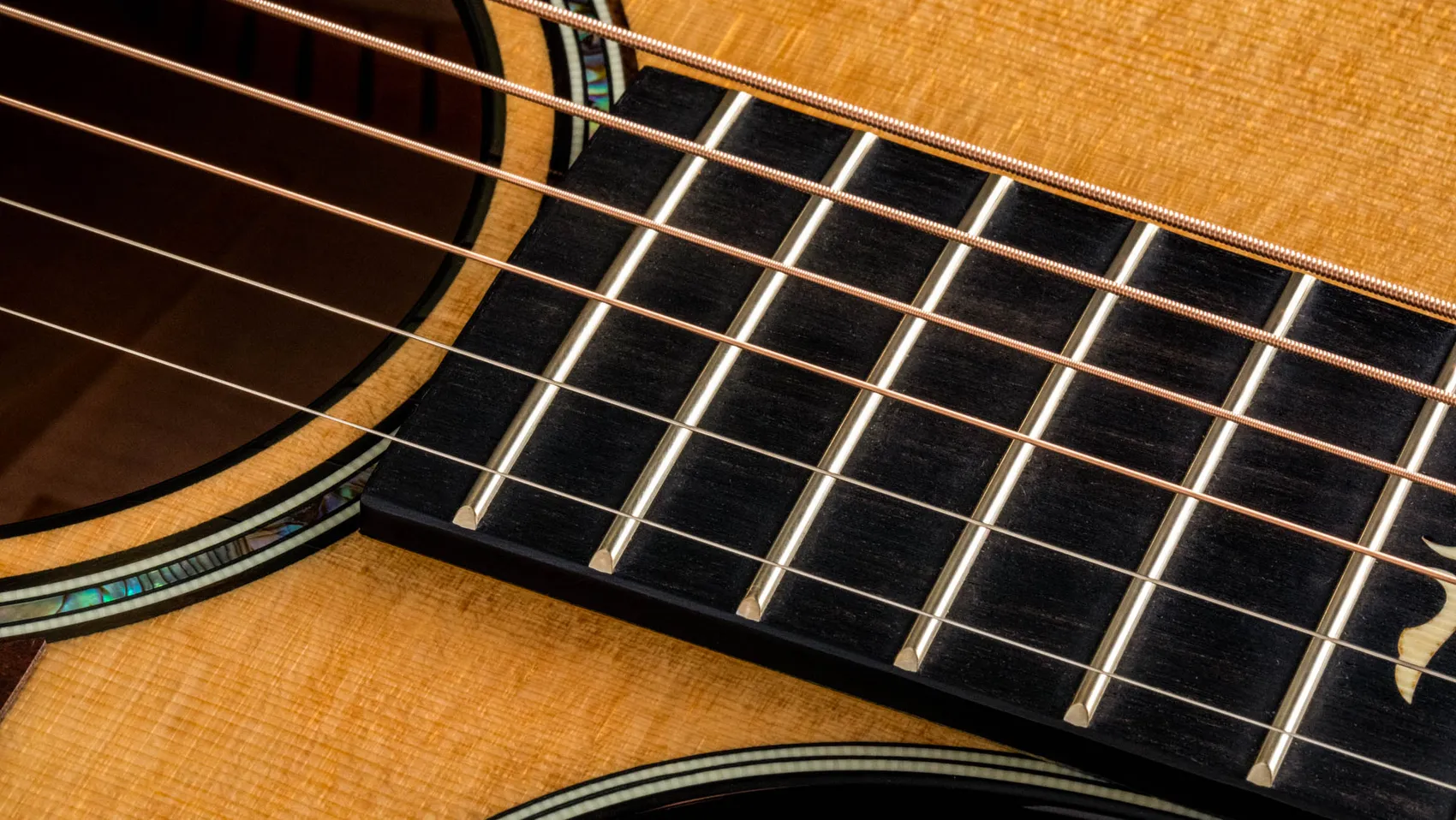 614ce Maple Acoustic-Electric Guitar | Taylor Guitars