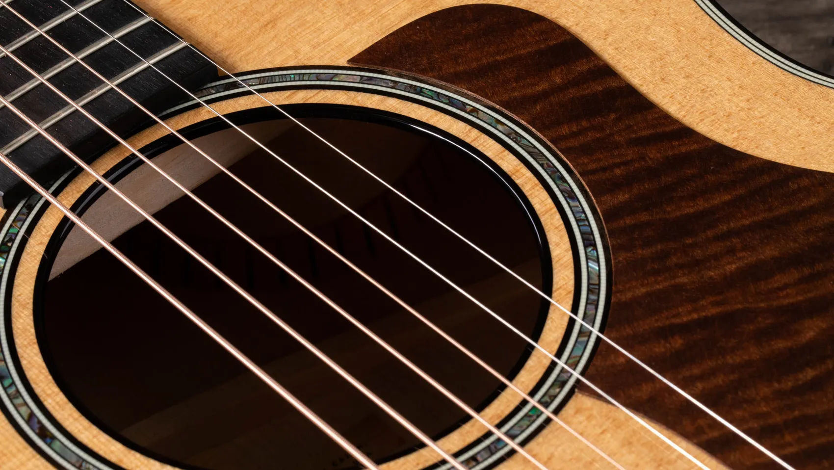 614ce Maple Acoustic-Electric Guitar | Taylor Guitars