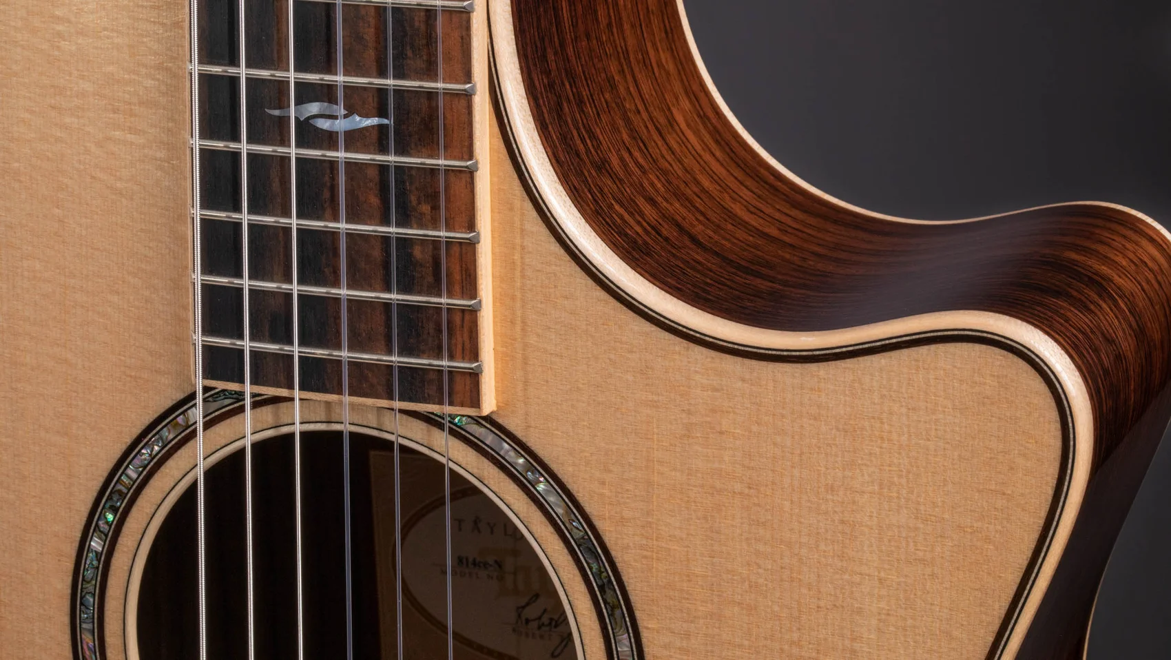 テイラーのギター814ceの案内 814ce-N Indian Rosewood Acoustic-Electric Guitar | Taylor Guitars