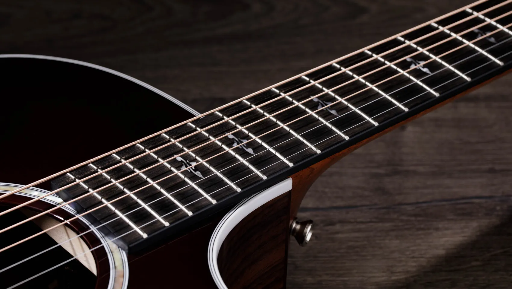 414ce Indian Rosewood Acoustic-Electric Guitar | Taylor Guitars