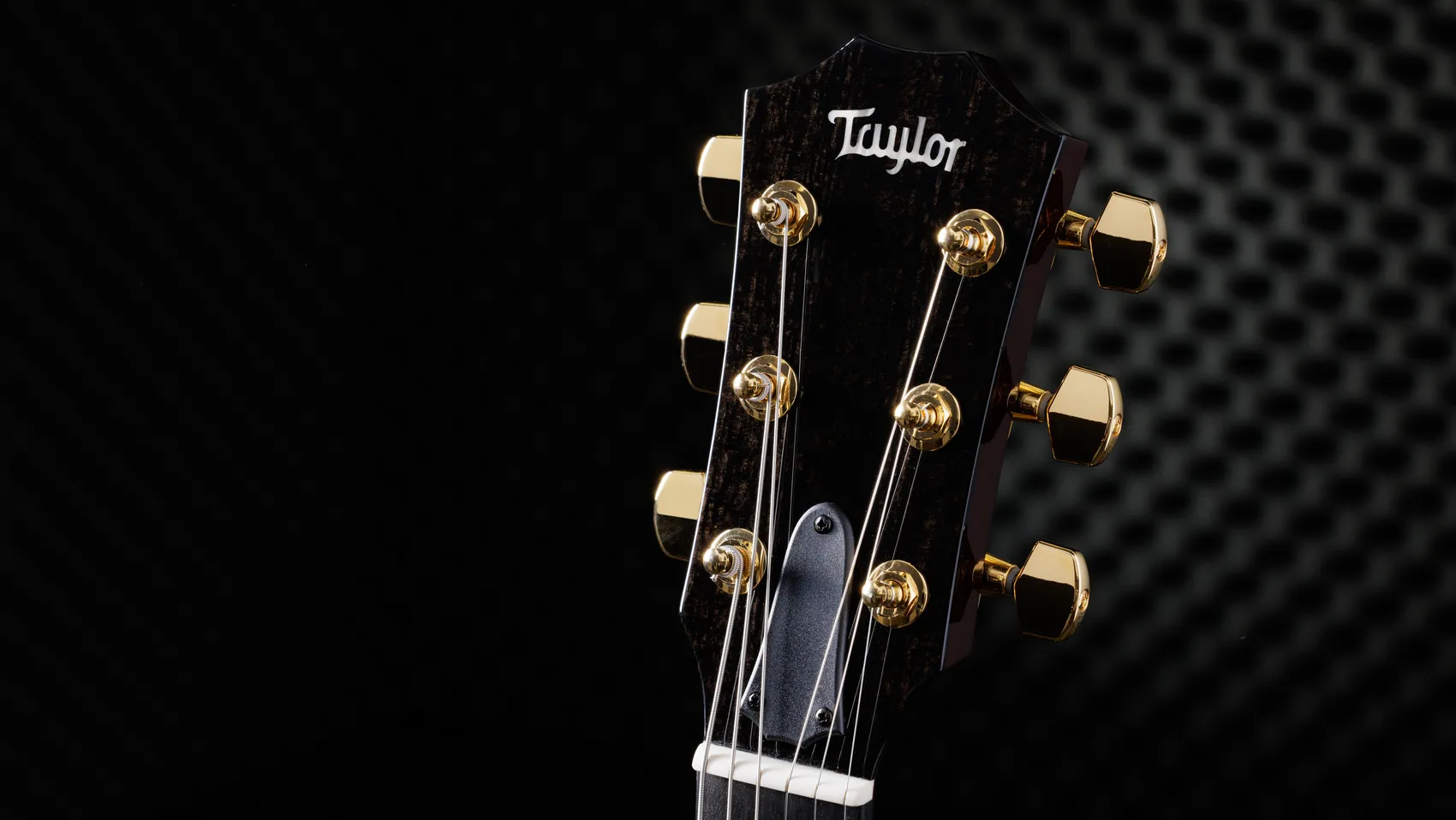 T5z Custom Koa Shamel Ash Acoustic Guitar | Taylor Guitars