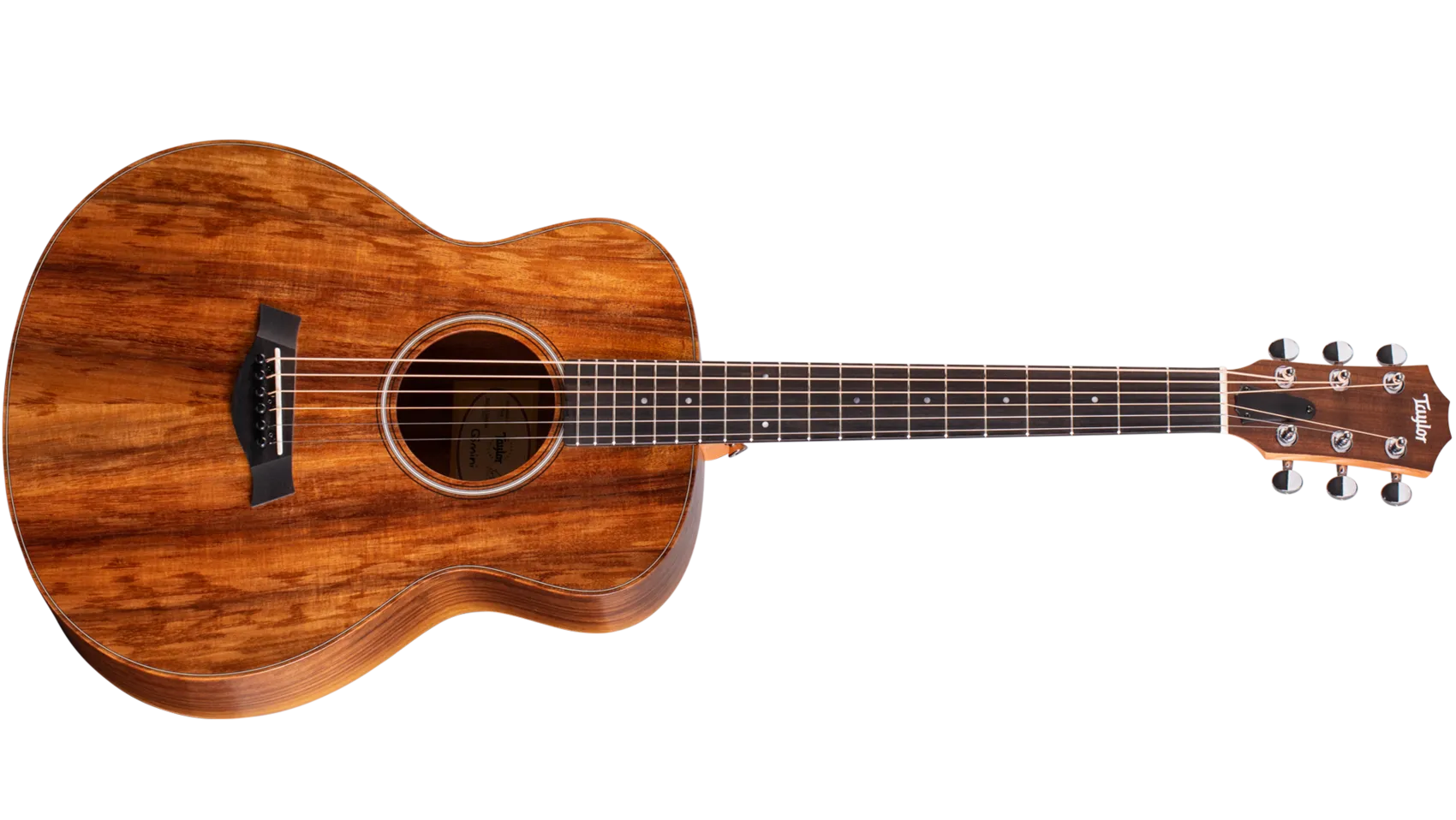 Taylor GS Mini-e Koa LTD2013 エレアコ Taylor 【公式通販】