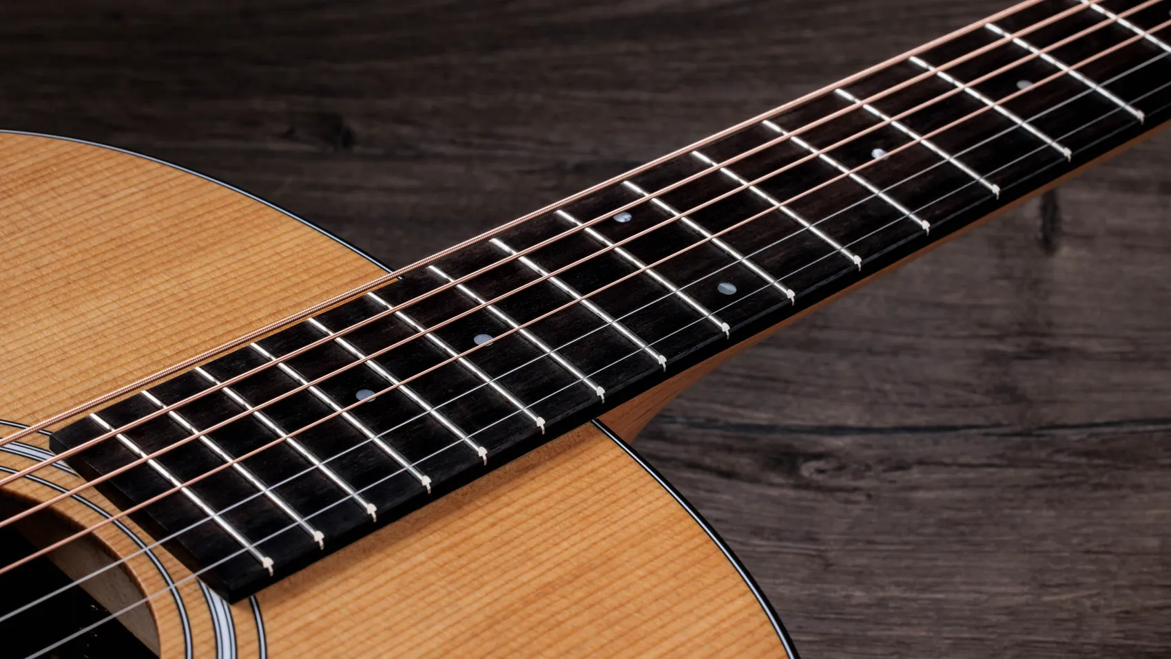117e Sapele Acoustic-Electric Guitar | Taylor Guitars