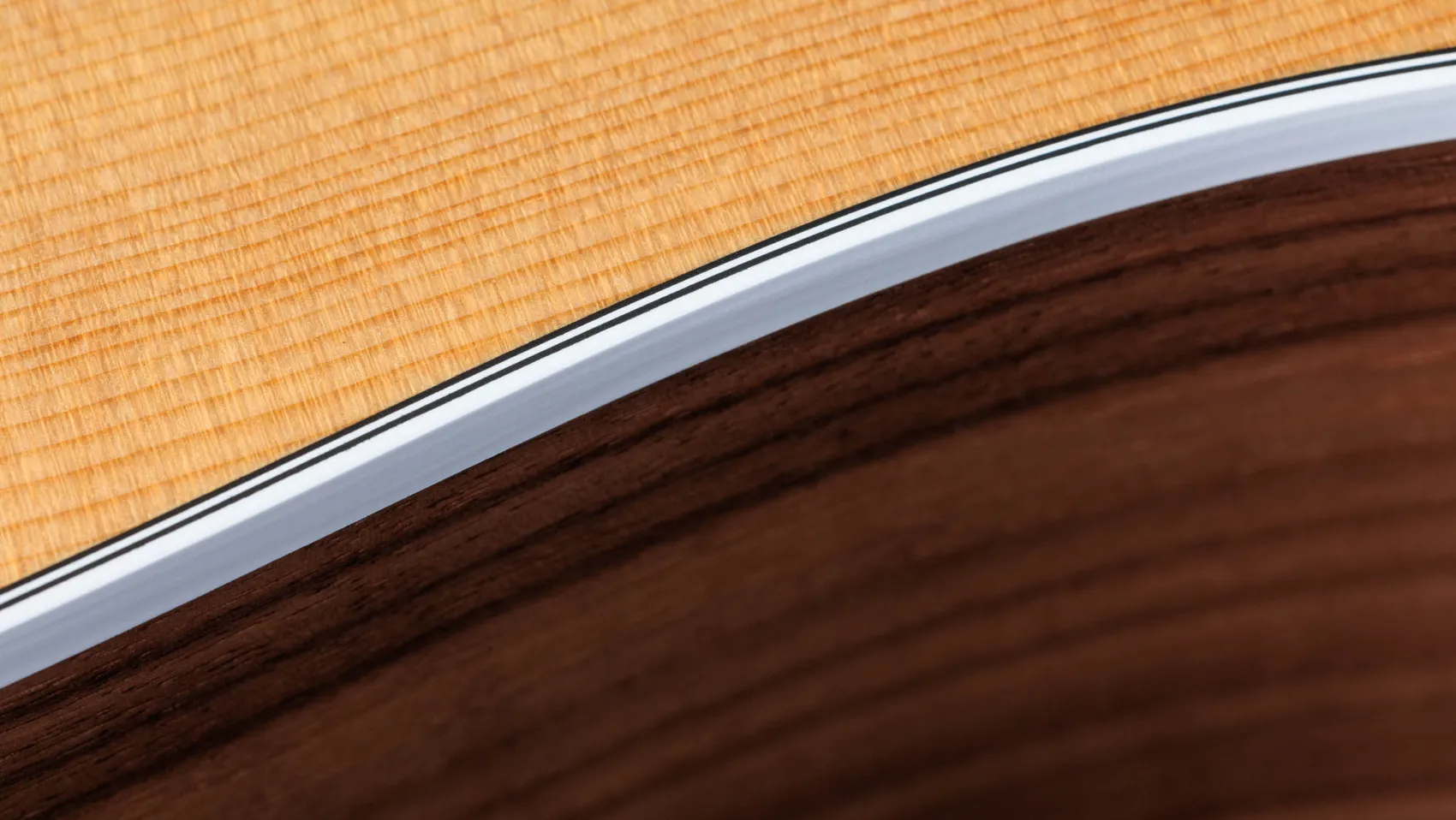 210ce Walnut Acoustic-Electric Guitar | Taylor Guitars