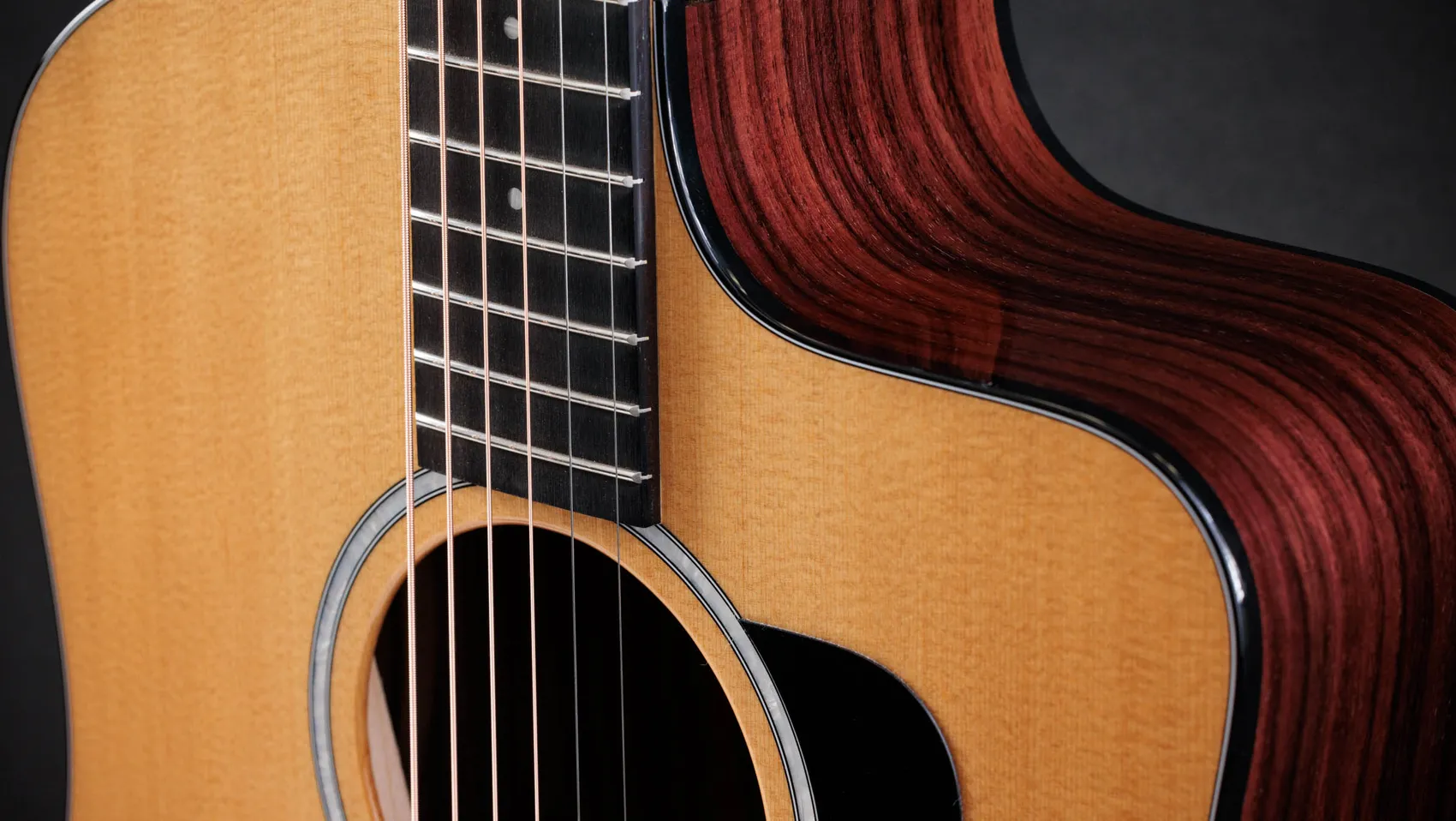 210ce Plus Indian Rosewood Acoustic-Electric Guitar | Taylor Guitars
