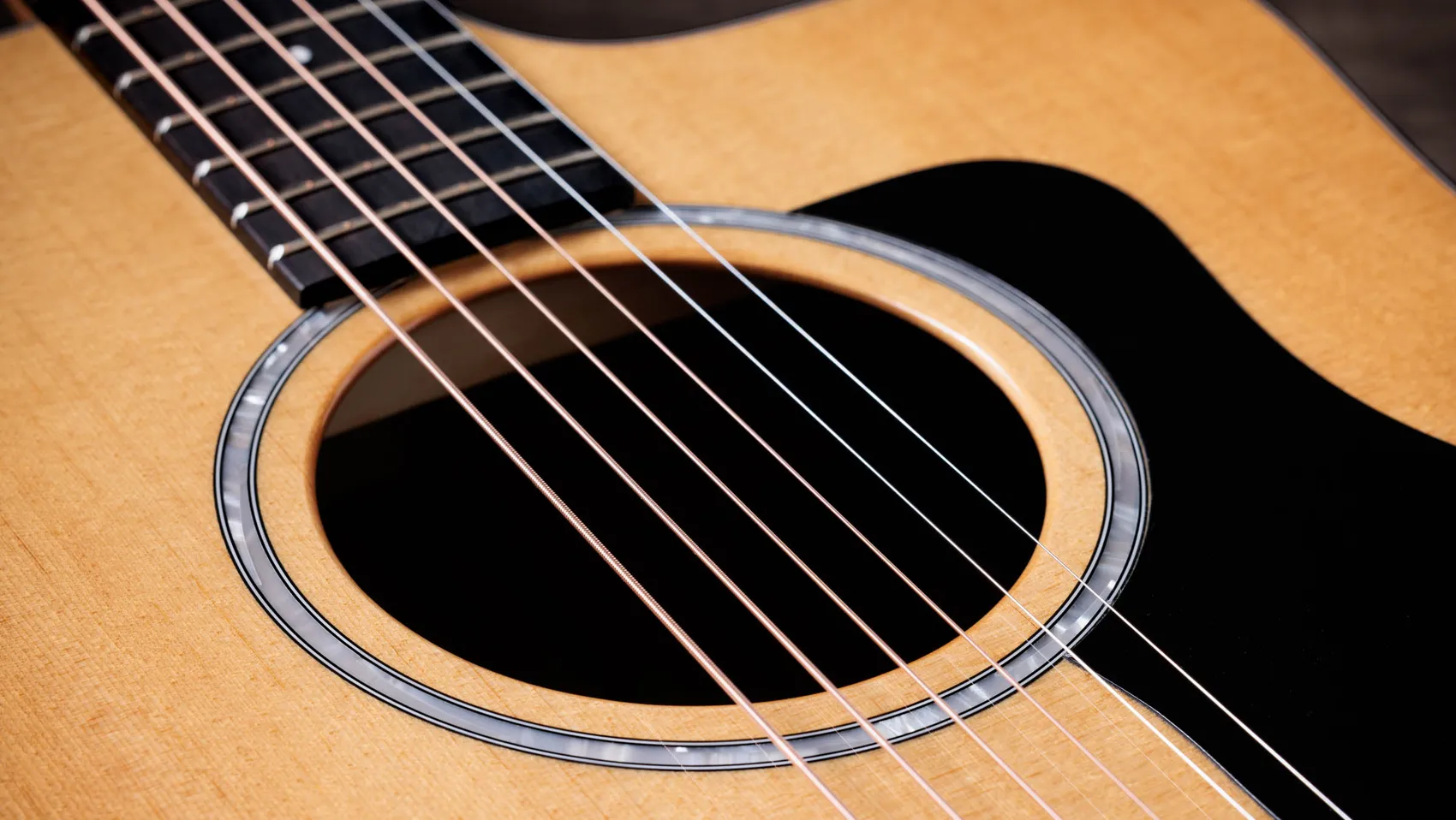 210ce Plus Indian Rosewood Acoustic-Electric Guitar | Taylor Guitars