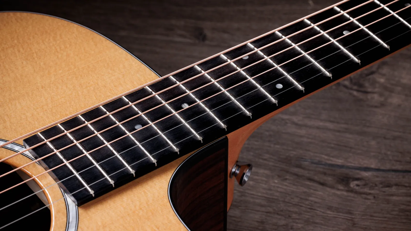210ce Plus Indian Rosewood Acoustic-Electric Guitar | Taylor Guitars