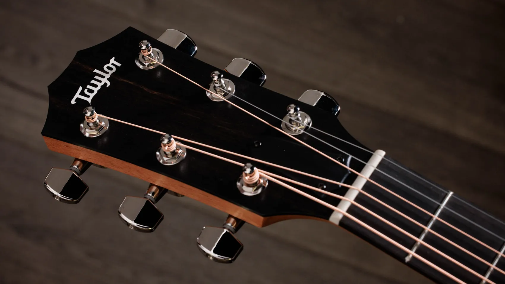 210ce Plus Indian Rosewood Acoustic-Electric Guitar | Taylor Guitars