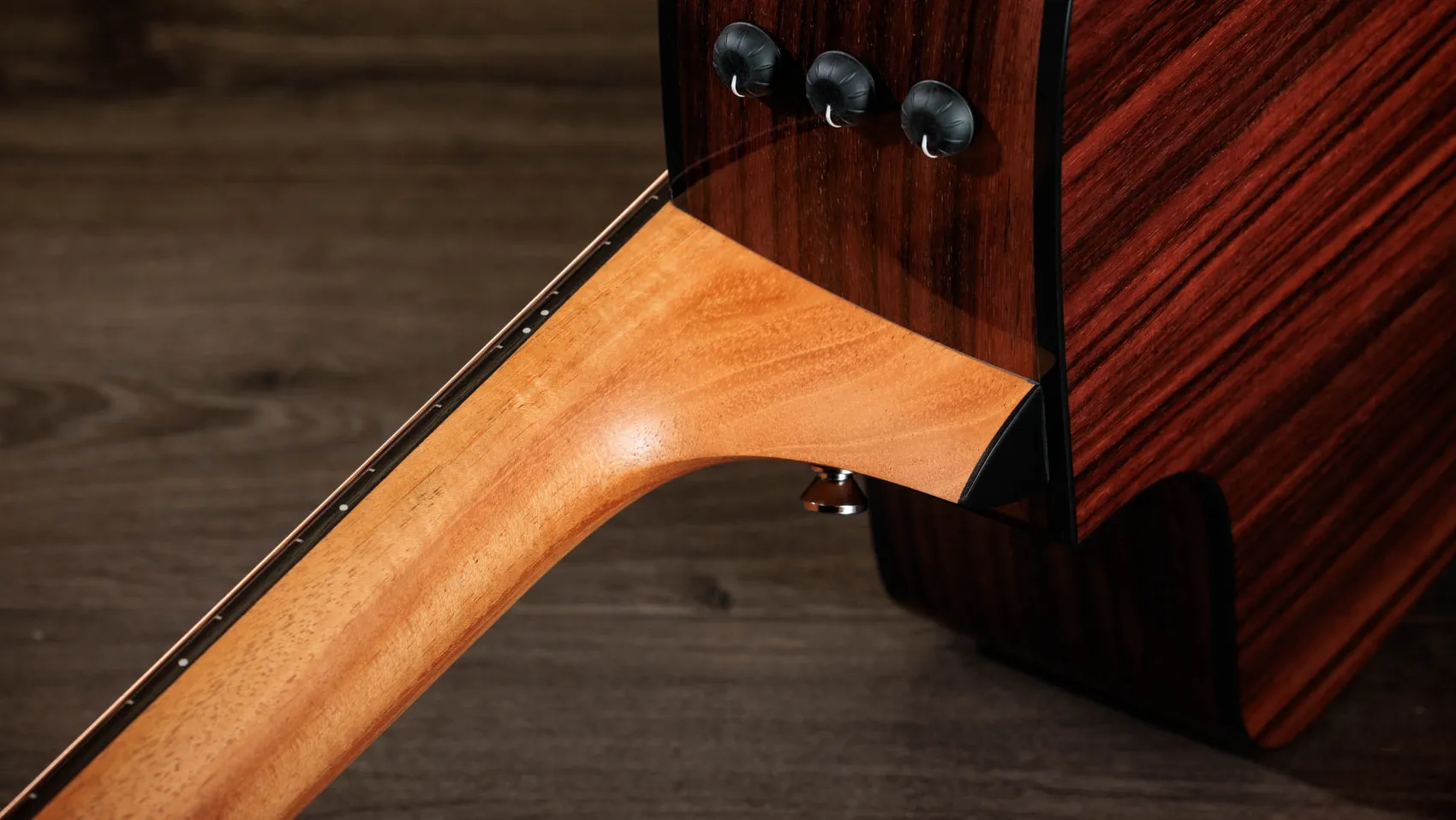 210ce Plus Indian Rosewood Acoustic-Electric Guitar | Taylor Guitars