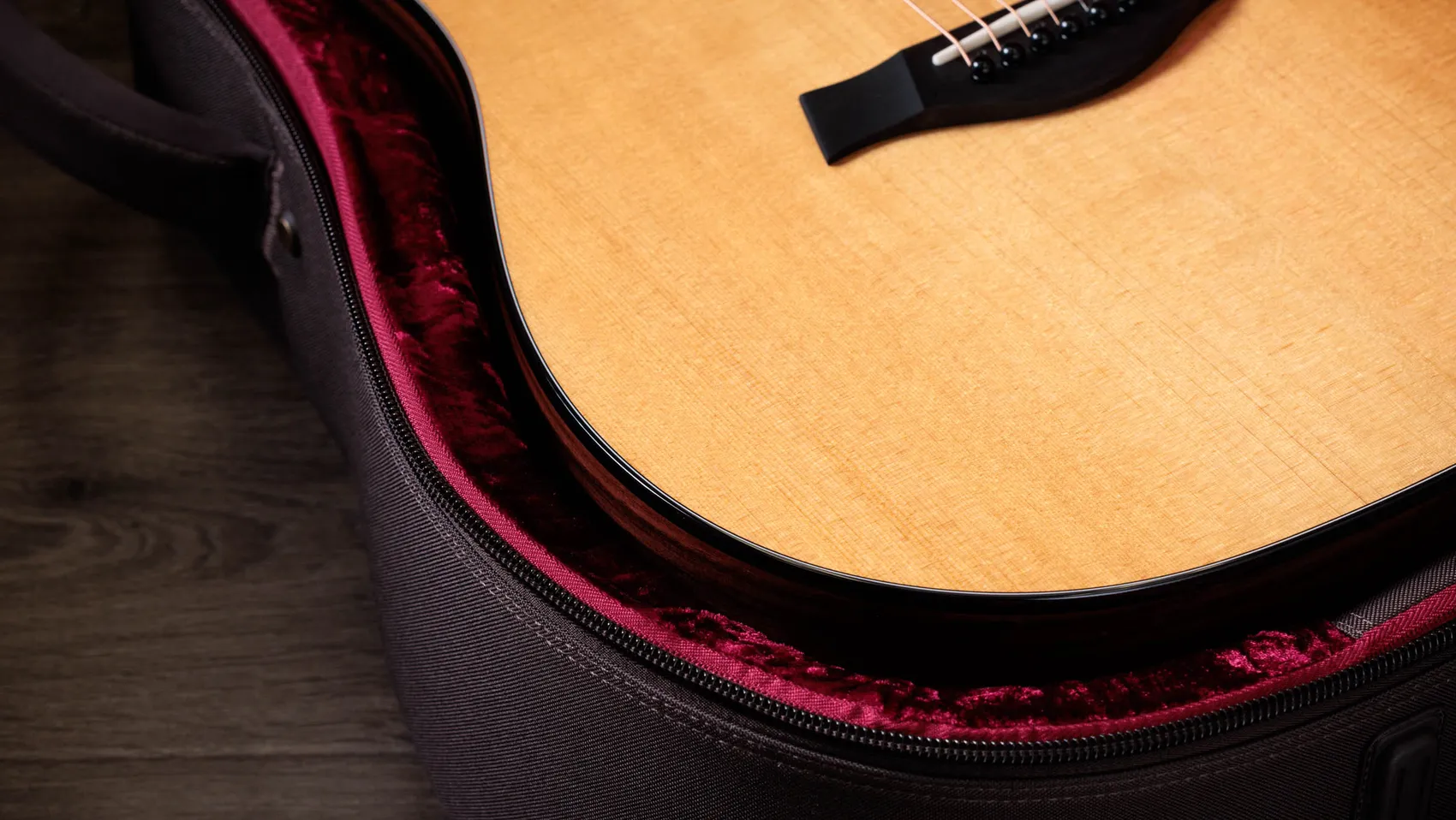 210ce Plus Indian Rosewood Acoustic-Electric Guitar | Taylor Guitars