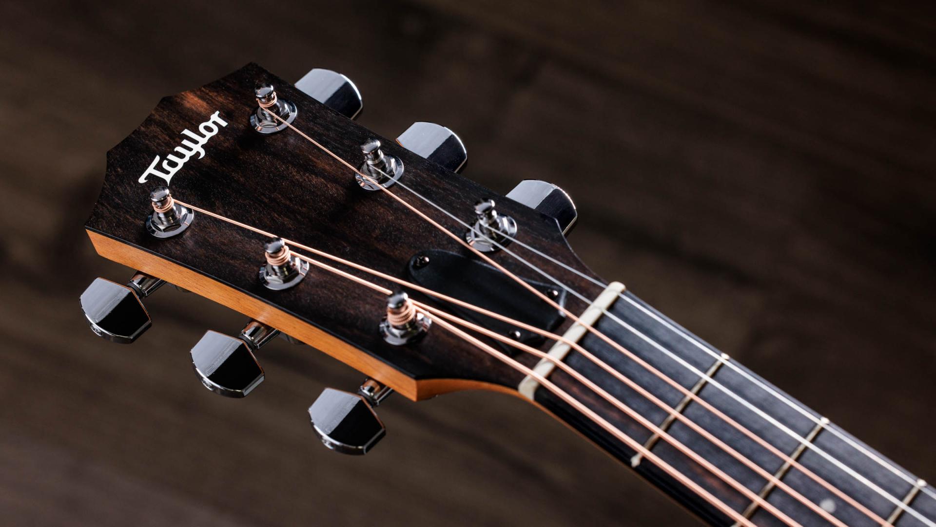 212ce Walnut Acoustic-Electric Guitar | Taylor Guitars