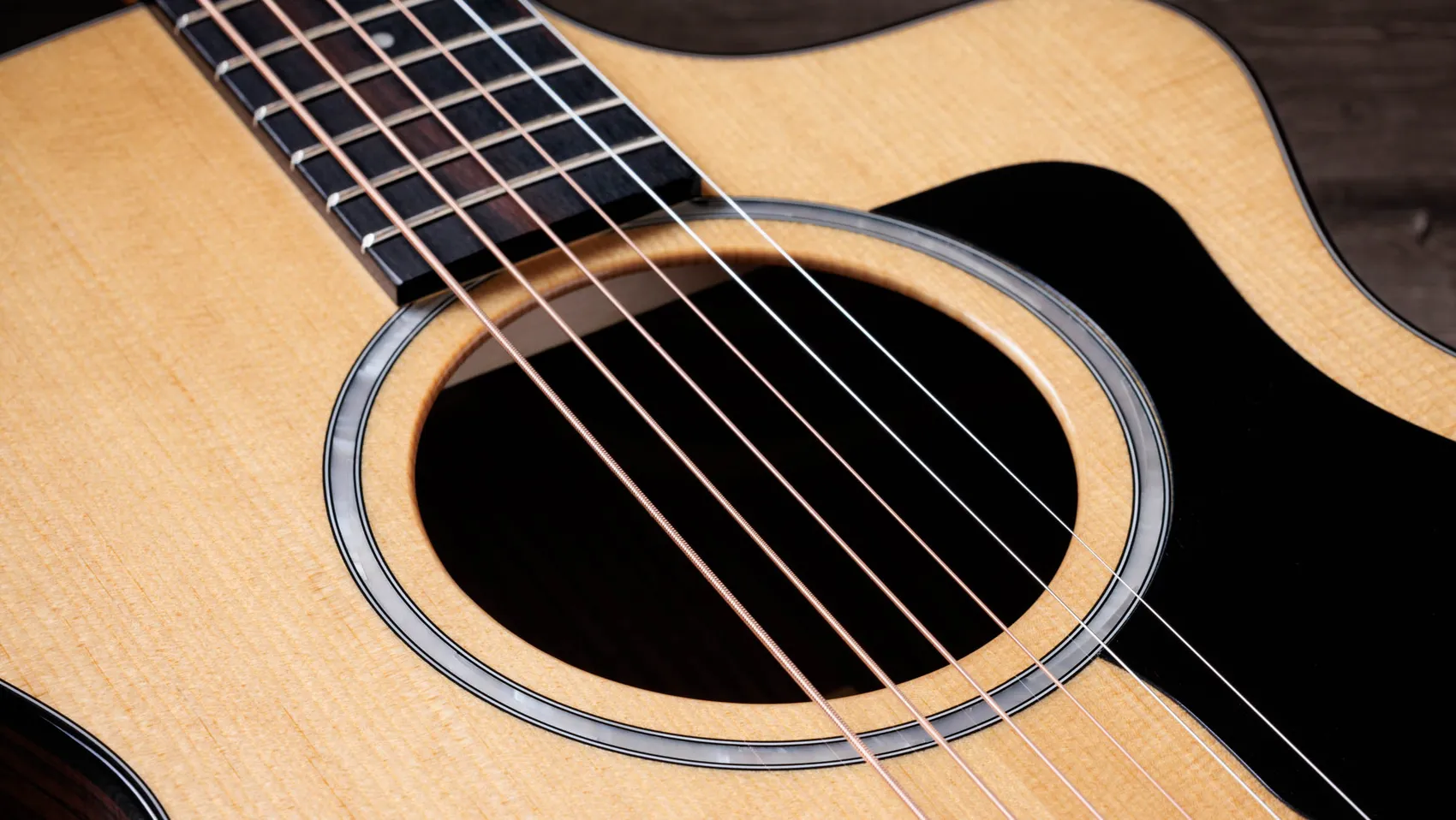 212ce Plus Indian Rosewood Acoustic-Electric Guitar | Taylor Guitars