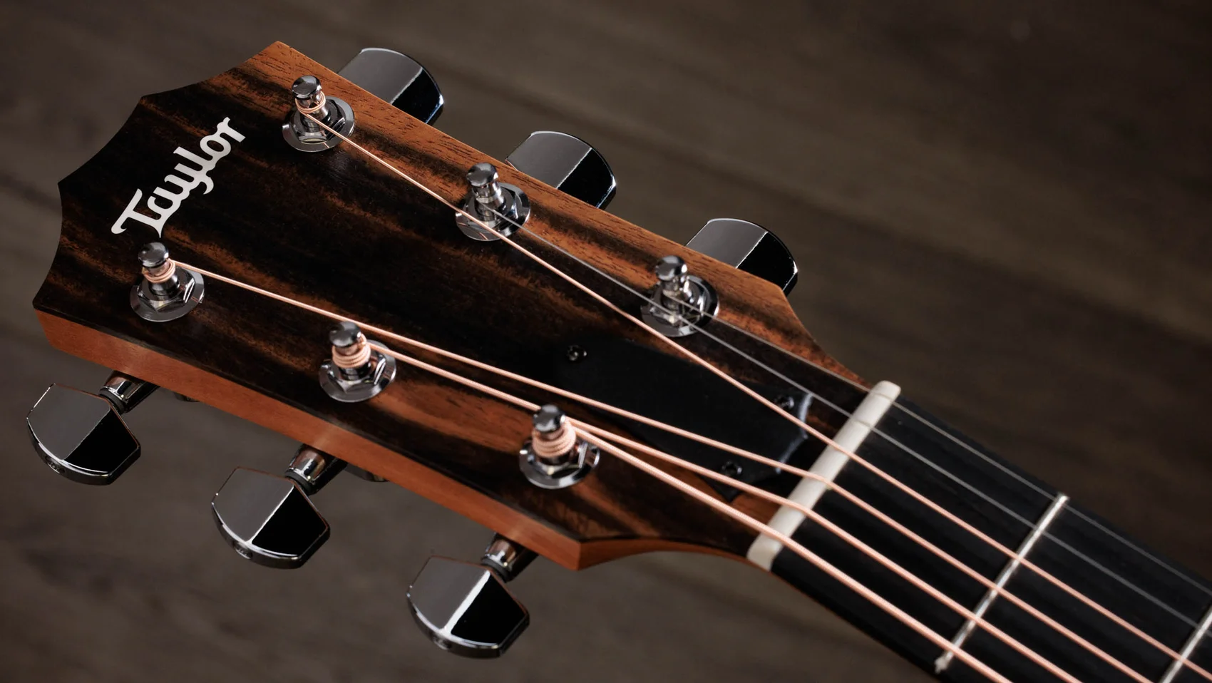 214ce Layered Walnut Acoustic-Electric Guitar | Taylor Guitars