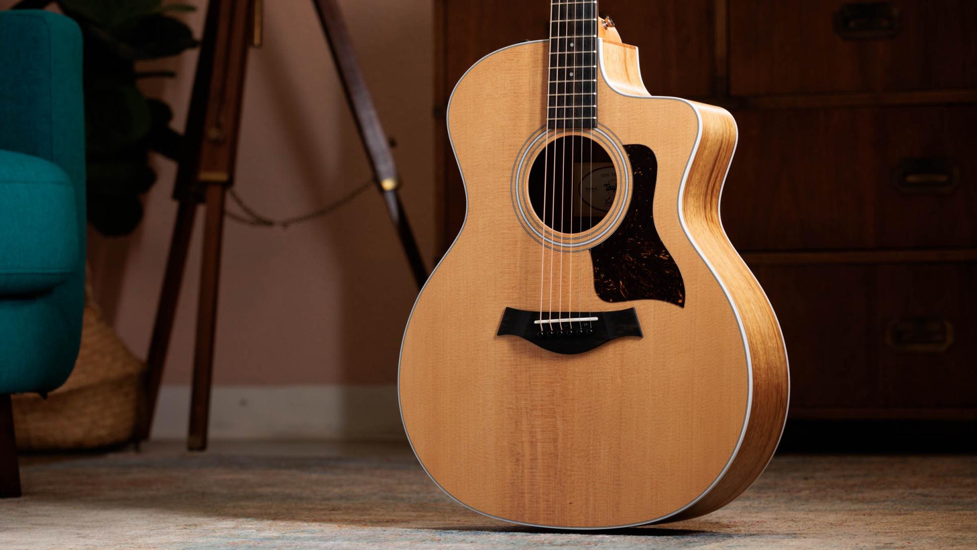 Taylor 214ce-Koa SB ギターケース ピック カポ付き（214ce 検索