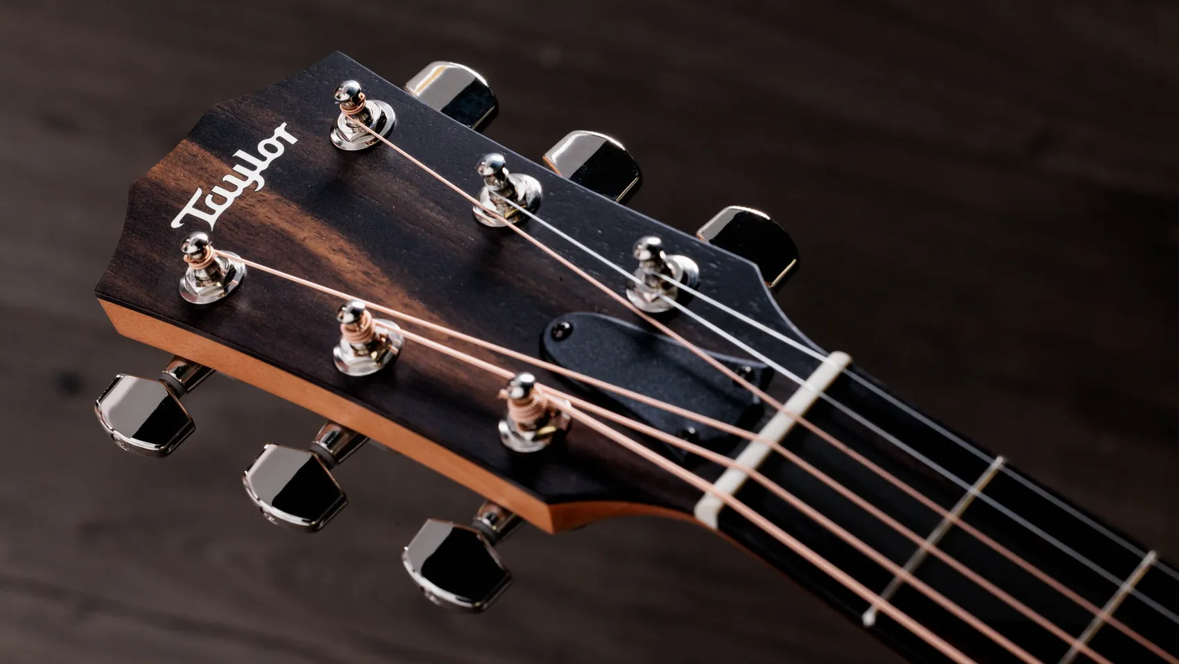 214ce-K SB Plus Hawaiian Koa Acoustic-Electric Guitar | Taylor Guitars