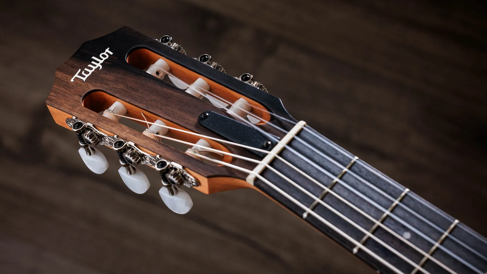 214ce-N Walnut Acoustic-Electric Guitar | Taylor Guitars